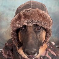 quandz20cm