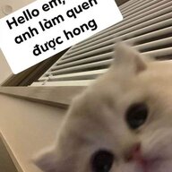 Truonganhdu
