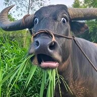 muốn tìm hiểu
