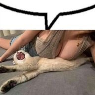 Yuii