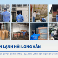 hailongvan1