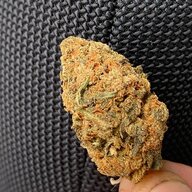 cansavietnam