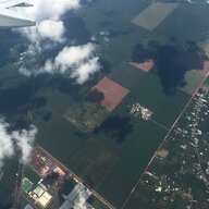 onggianoel