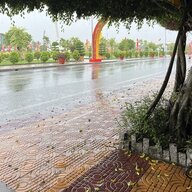 anhtri08