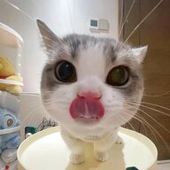 NgYueNHoAnG29