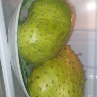 Như Ý 63