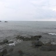 Lehuyvinh