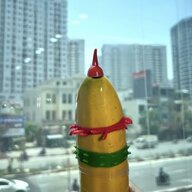 Trai Bao đi Nữ
