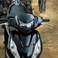 Ciu bự