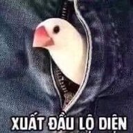 chimbebe9x