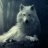 Deleted member 257