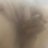 Huyjonny