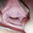 Cuckold_BL94