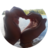 VNPL