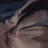 Di AN