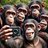 BAD_MONKEY