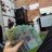 sang19052001