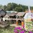 Khoai_Ca