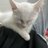 Ngovanphi