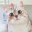 catcute
