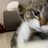 Karinnxnxx