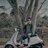 trailamdong49r
